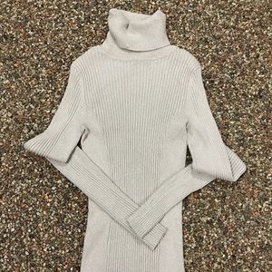 Express turtleneck sweater